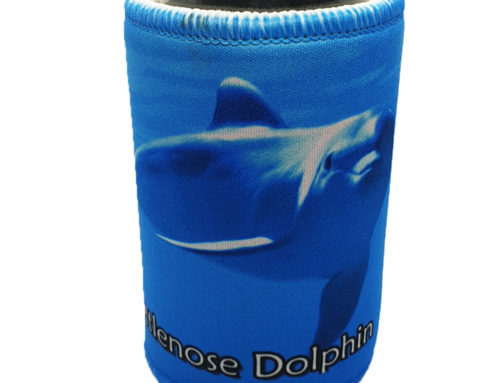 Bottlenose Dolphin Cooler